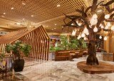 India's most beautiful airport lounge is luxurious than a five-star hotel, it is located in..., includes facilities like...