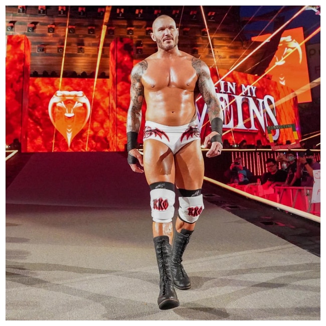 Randy Ortan to CM Punk: 7 full-time WWE superstars with MOST World