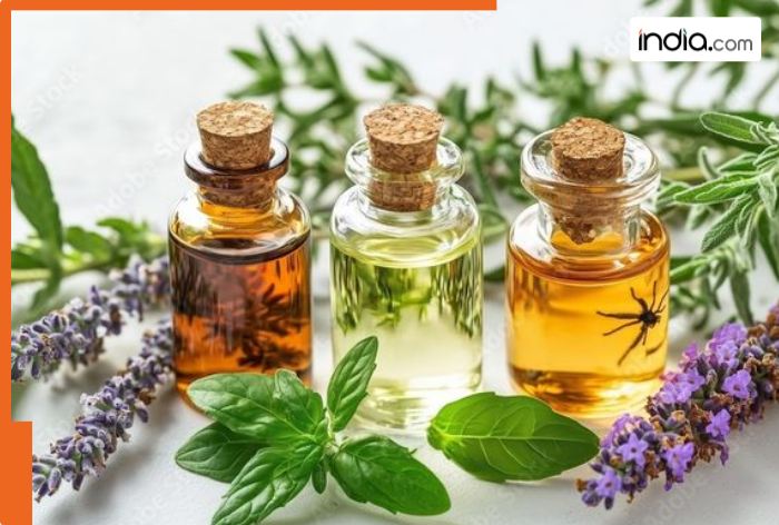 Lavender to peppermint: 7 essential oils that help in pain relief and ...
