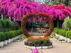 7 Photogenic Spots Near Delhi NCR