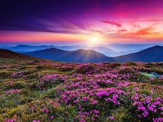 7 Stunning National Parks In North India To Explore This Summer