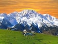 8 Beautiful Places To Visit In Jammu And Kashmir In Summer