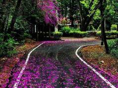 8 Breathtaking Hill Stations Near Bengaluru