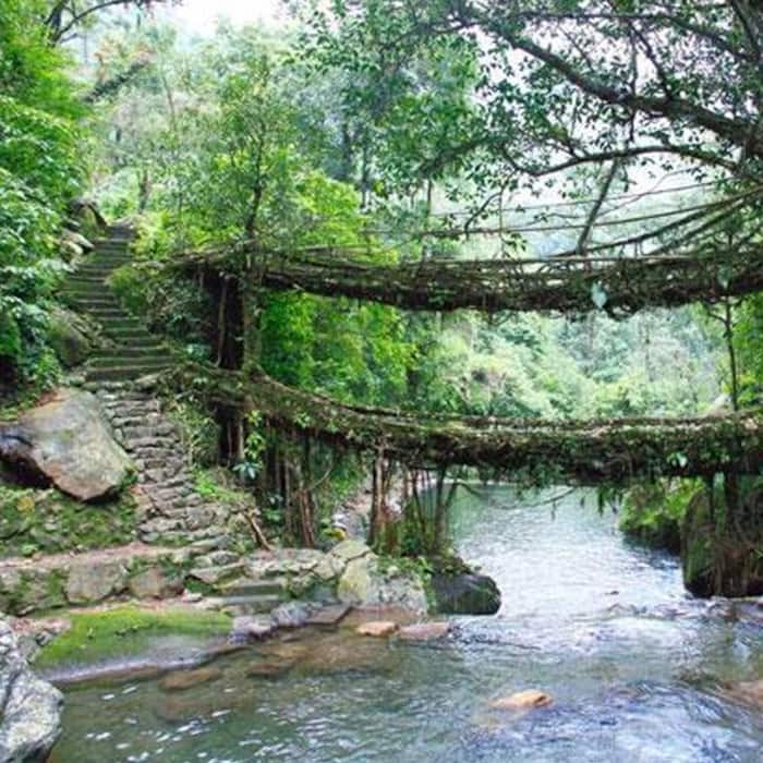 A beautiful picture of Cherrapunjee, Meghalaya