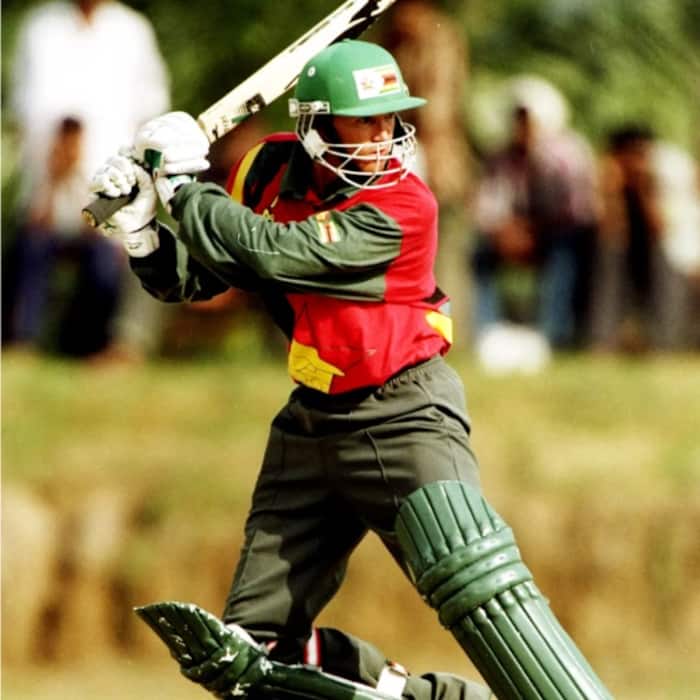 A Flower  ZIM    1998 Performance