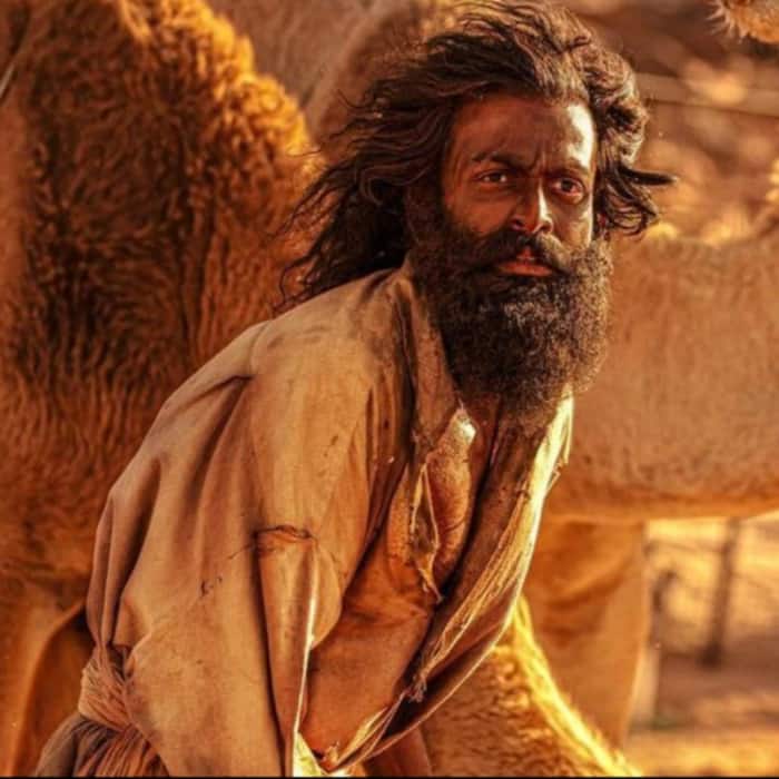 Aadujeevitham  The Goat Life  collected Rs 156 8 crore at the box office