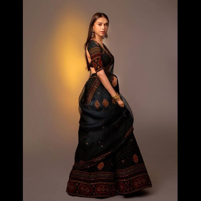 Aditi Rao Hydari on the professional front