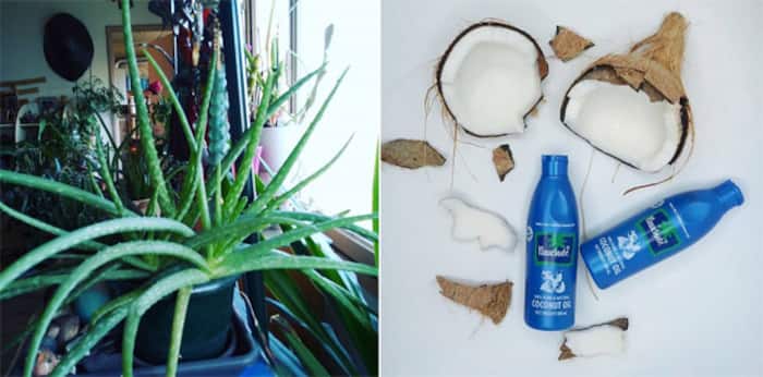 Aloe Vera and Coconut Oil is used as natural protection from hard water