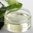 6 miraculous health and beauty benefits of Aloe Vera!
