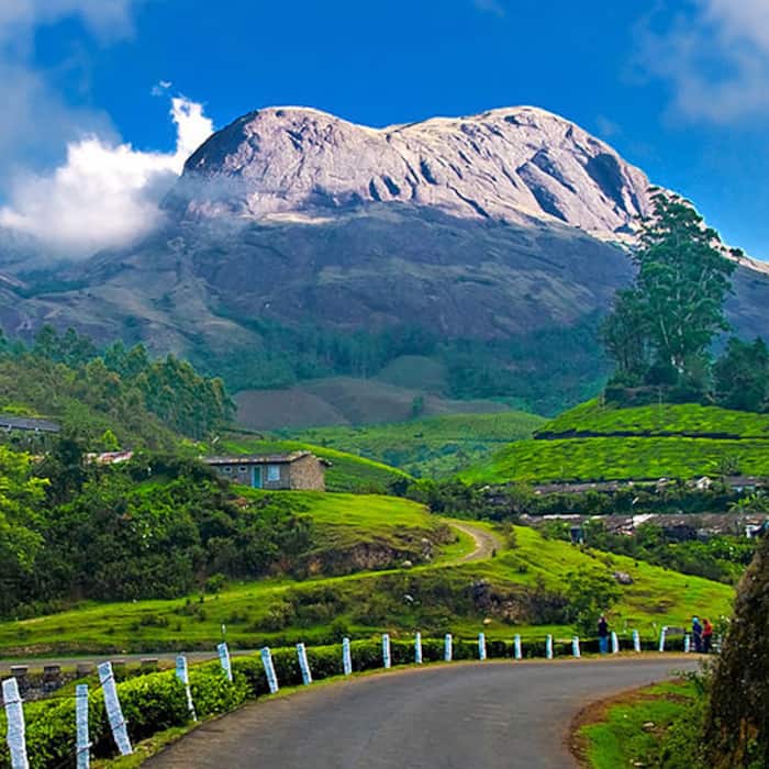 An alluring picture of Munnar in Kerala