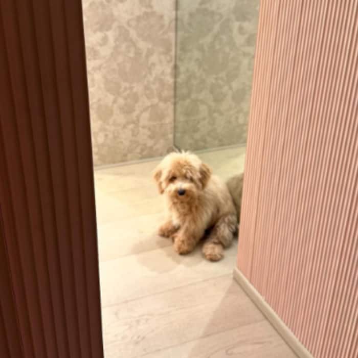 Ananya Panday Shares Adorable Picture of Her Doggo