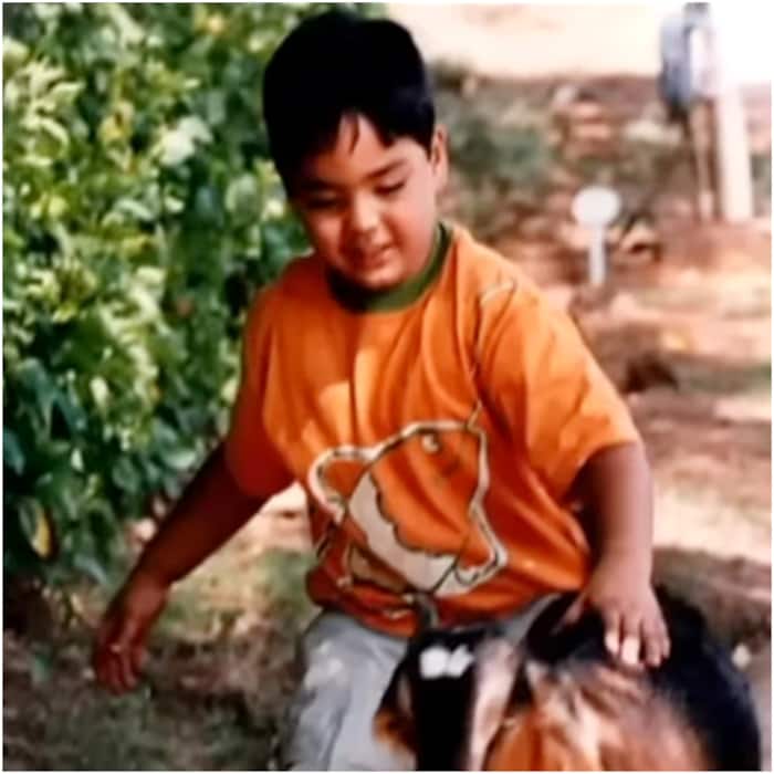 Animal Lover