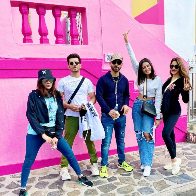 Arjun Bijlani shares pic with Nikki Tamboli, Rahul Vaidya and others