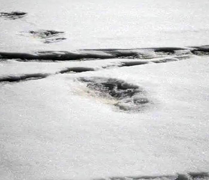 Army Claims to Have Found Yeti’s ‘Footprints’ in Nepal, Posts Photos on Twitter