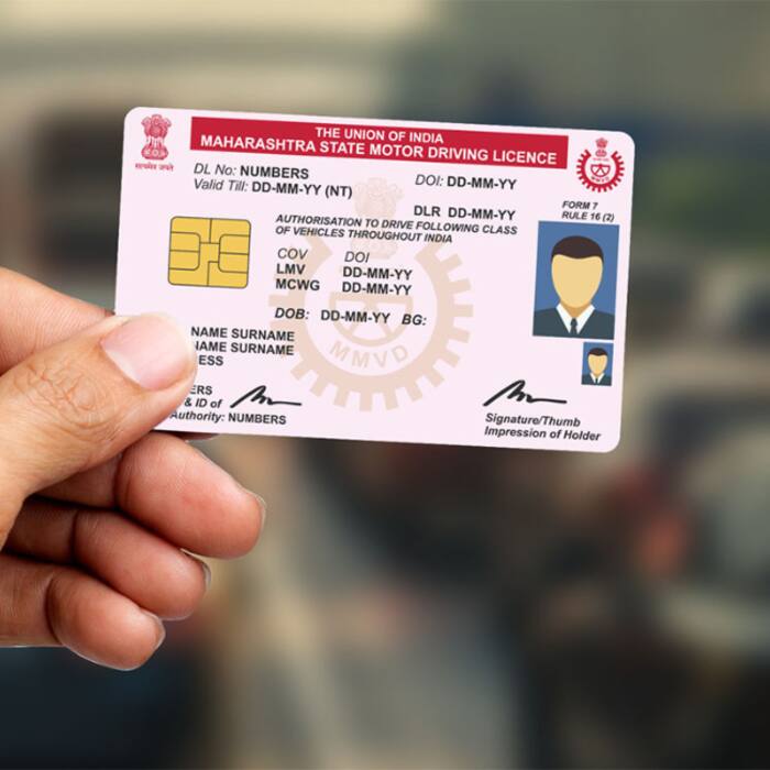 Assembly Elections 2026: List of documents required for voting in Assam, Bengal, Tamil Nadu, Kerala