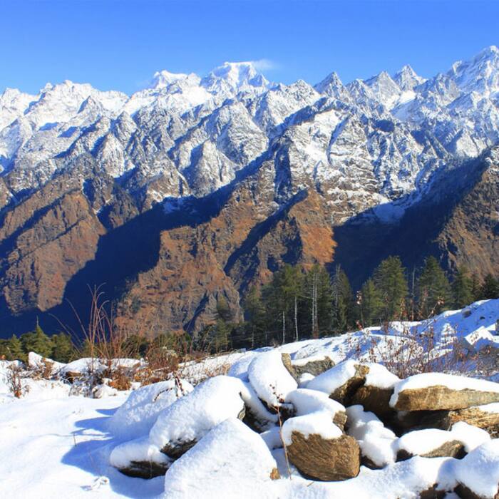 Auli