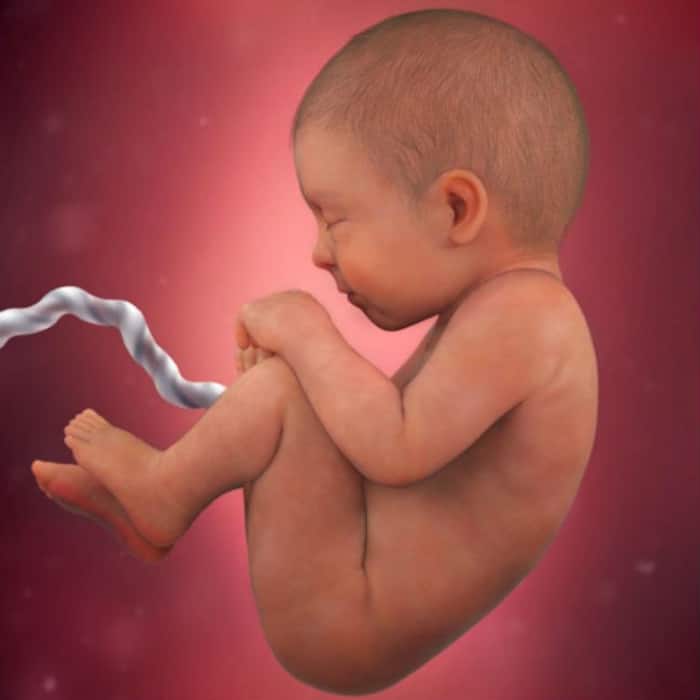 9 PICS from nine months of a baby, growing inside mother’s womb are ...