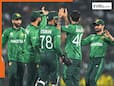 Bad news for Pakistan after T20 World Cup 2026 exit, star player in HARASSMENT case against, PCB and Mohsin Naqvi to take... Bad news for Pakistan after T20 World Cup 2026 exit, star player in HARASSMENT case against, PCB and Mohsin Naqvi to take...