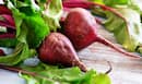 Do Not Avoid Eating This Super-Food if You Wish to Keep COVID-19 at Bay