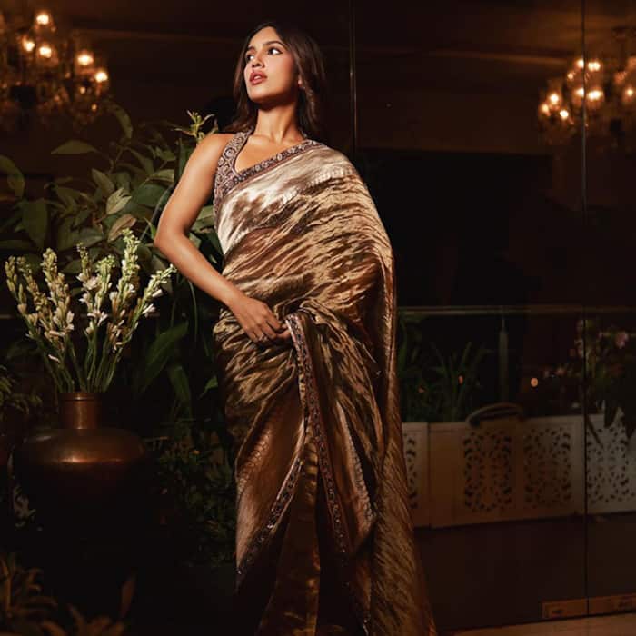 Bhumi Pednekar embridered blouse amps up the look.