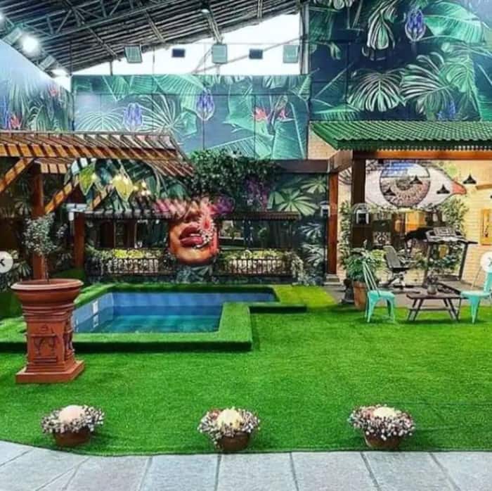 Inside Bigg Boss 15 Jungle Themed House: From Lavish Living Hall To ...