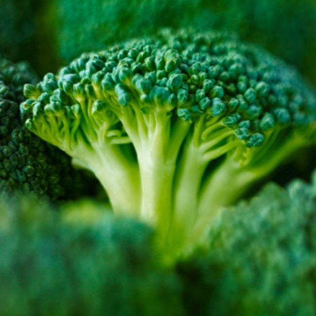 Broccoli contains Vitamin B5