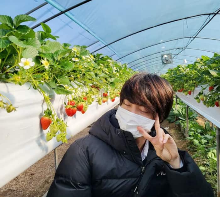 BTS Member Jin And Strawberries Make The Best Duo