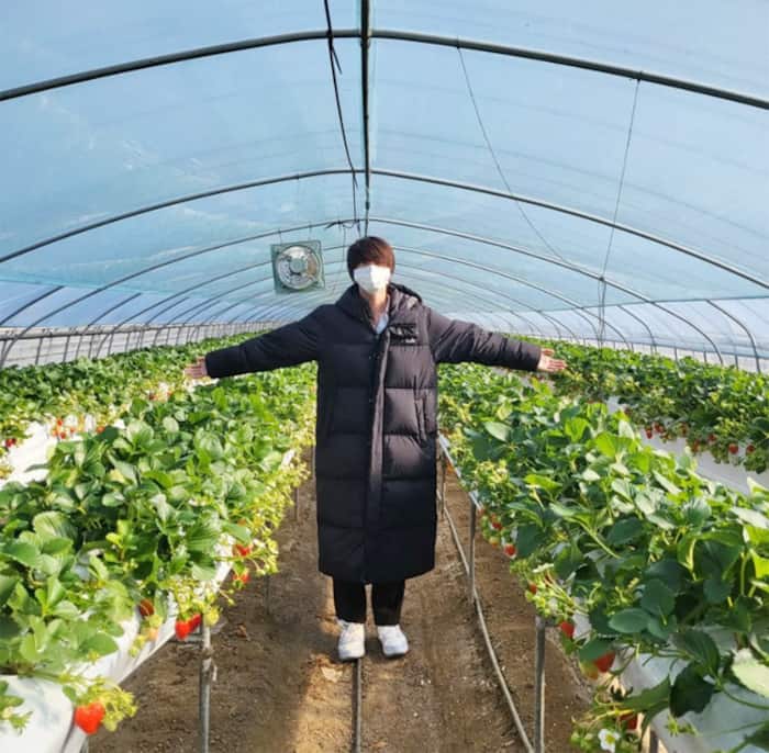 BTS Member Jin Seems to be a Nature Lover
