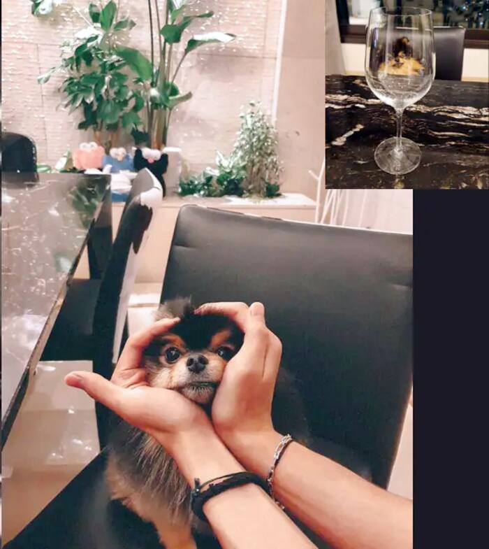 BTS Member V s House Is Soundproof 