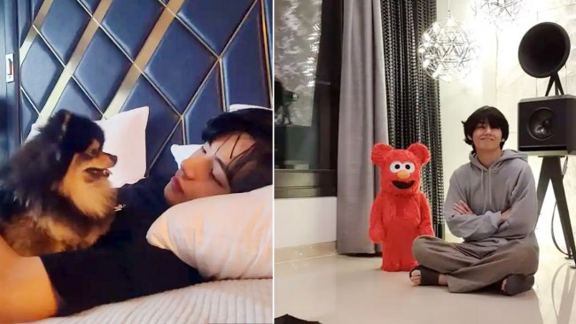 bts v teddy bear