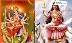 Chaitra Navratri 2026 Full List: Know 9 forms of Goddess Durga, colours, significance and rituals to offer