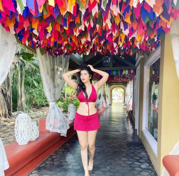 Charu Asopa takes internet by storm with sizzling hot pictures