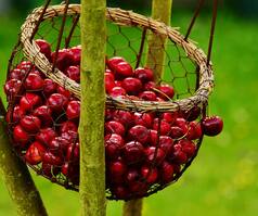 Are You Diabetic? Have These Diabetes-Friendly Fruits