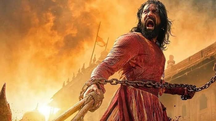 Chhaava     February 14  2025