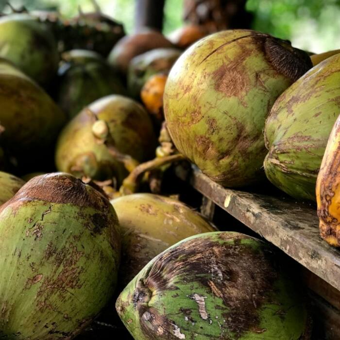 Coconut water