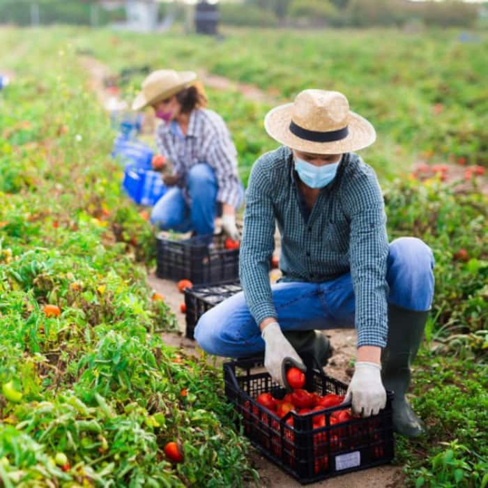 Countries with worker friendly policies