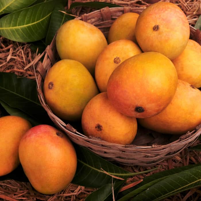 Cut with special knife