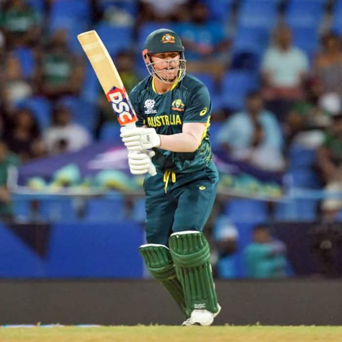 David Warner also has over 14000 runs in T20 cricket