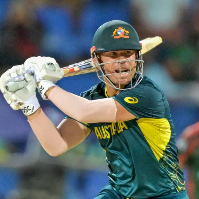 David Warner has to appear in Sydney court next month