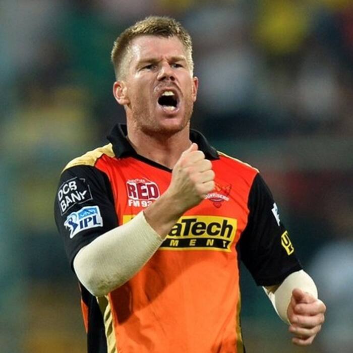 David Warner led Sunrisers Hyderabad to maiden IPL title in 2016