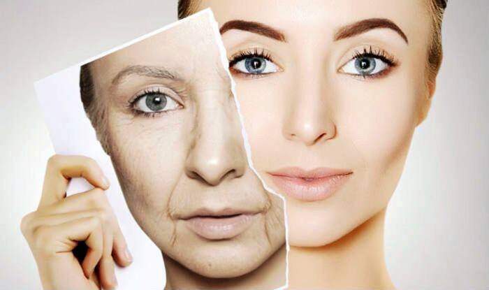 Delays ageing