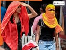Delhi bakes at 46°C: Here are 12 foods and drinks for protection against heat-related illnesses