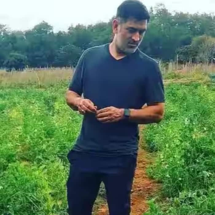 Dhonis unique entry in cricket