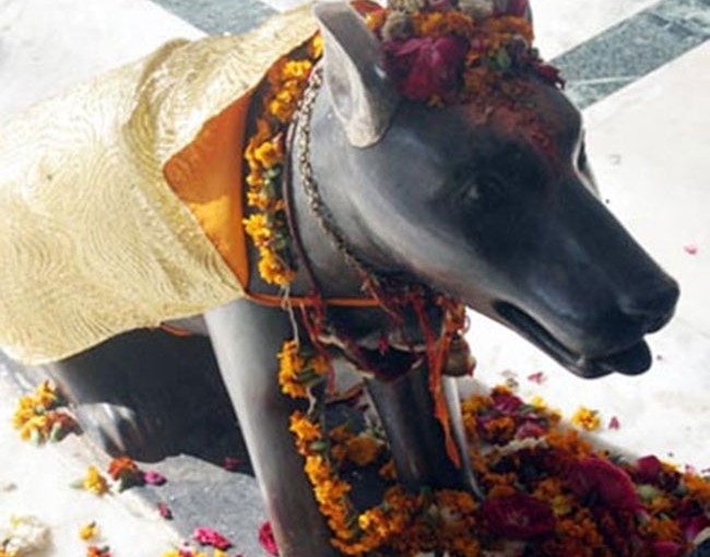 dog-temple-in-channapatna-karnataka
