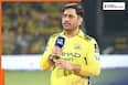 'Door is always...': After allegations from Yograj Singh, CSK star player praise MS Dhoni for...,his name is...