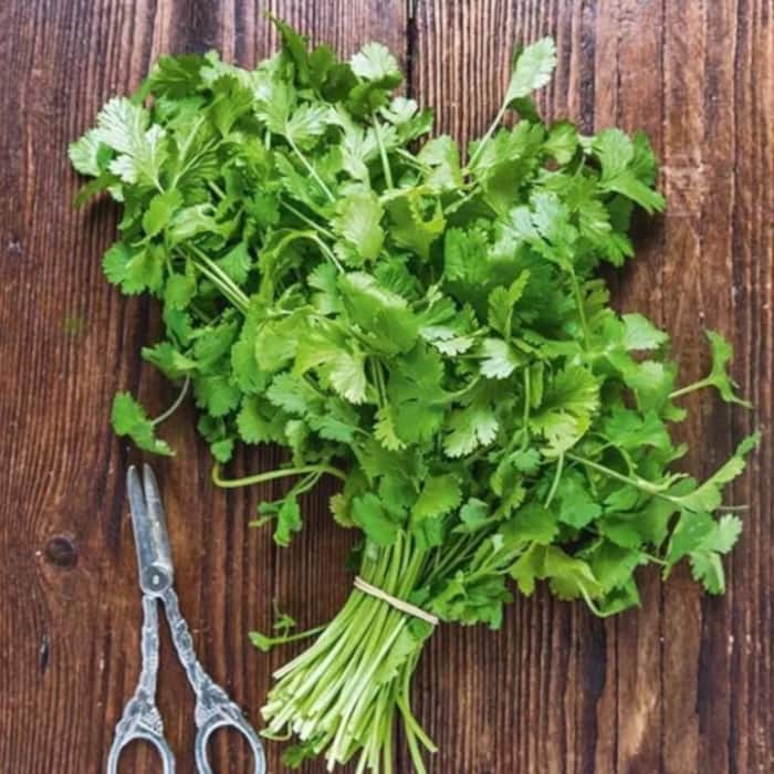 Easy to grow at home