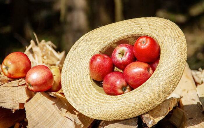 Eat flavonoid rich foods
