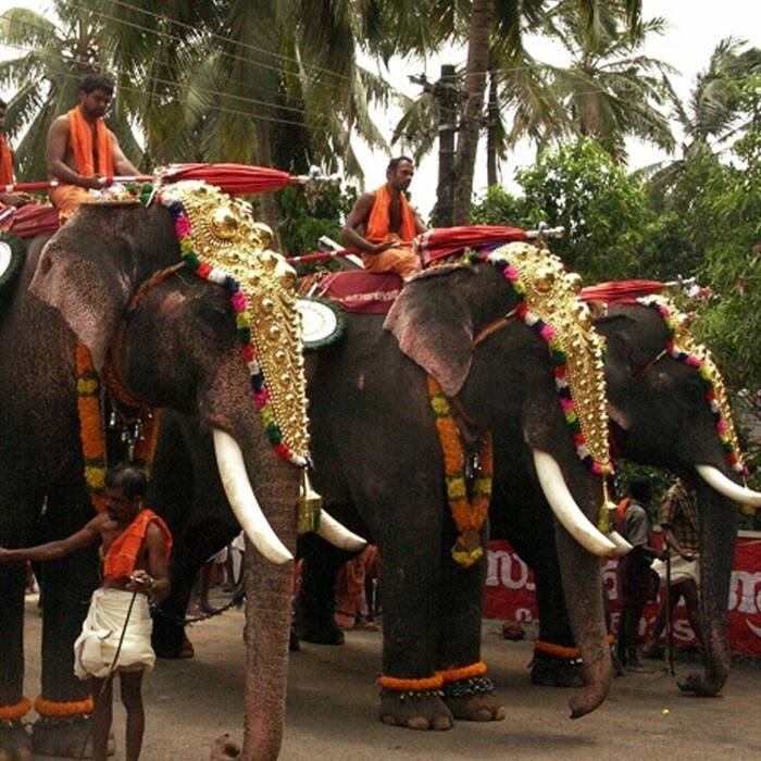 Ernakulathappan Utsavam from 22 to 29 January 2018