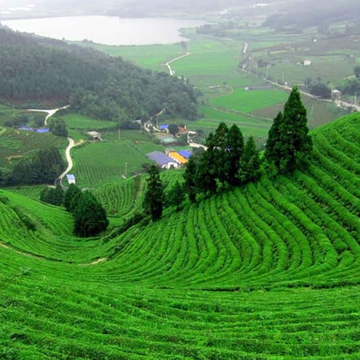 Explore the beauty of Coonoor in Tamil Nadu