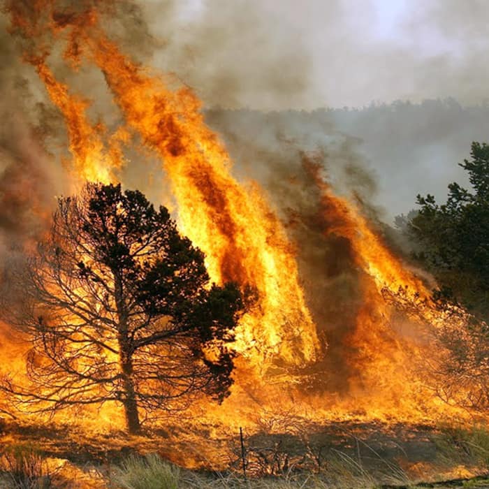 Forest fire erupts along LoC in Poonch